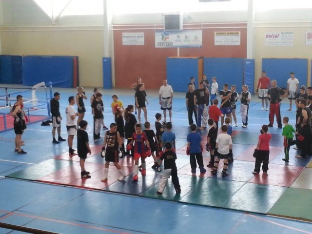 participants 2